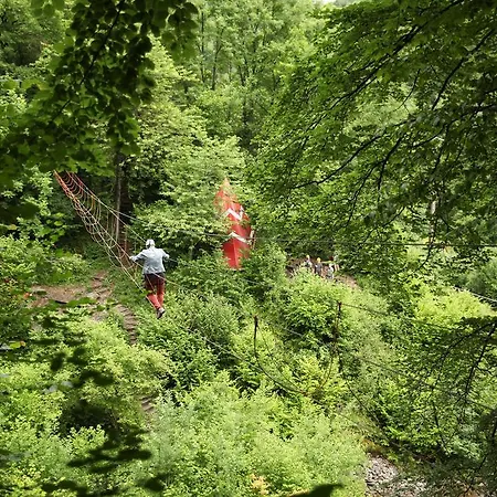 Lodge Domaine D'aventure 